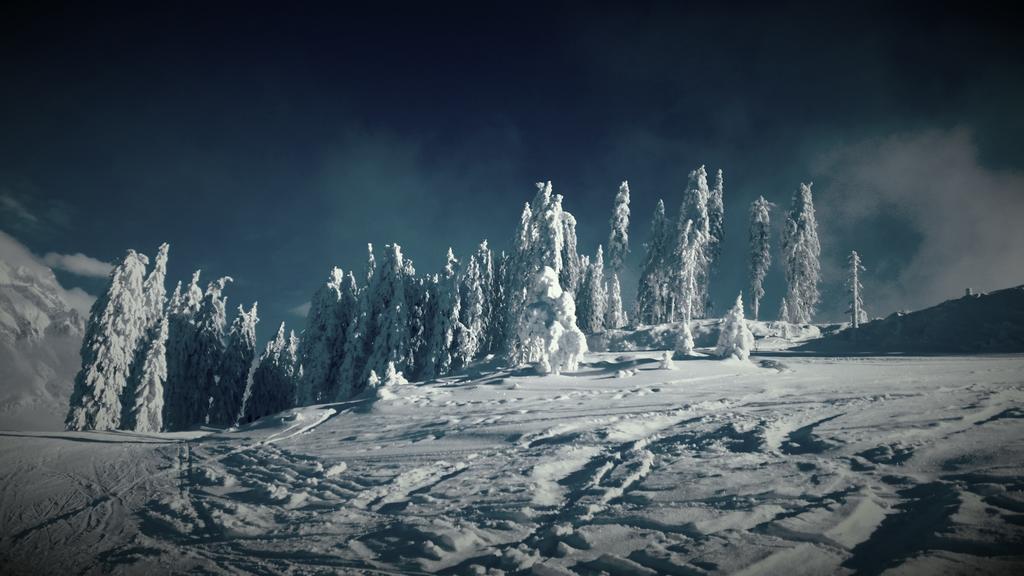 Hotel Pension Barbara Sankt Martin am Tennengebirge Kültér fotó