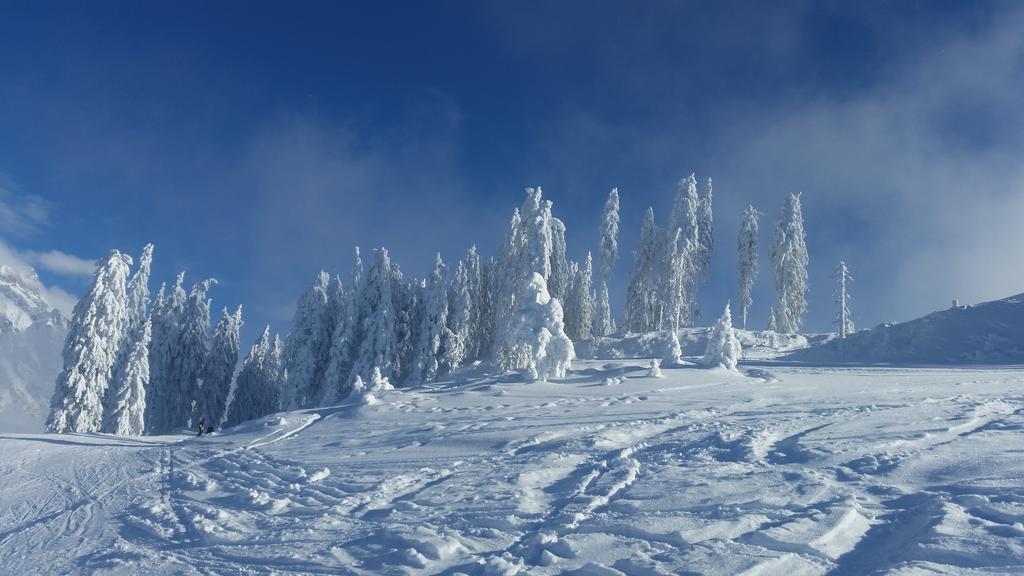 Hotel Pension Barbara Sankt Martin am Tennengebirge Kültér fotó